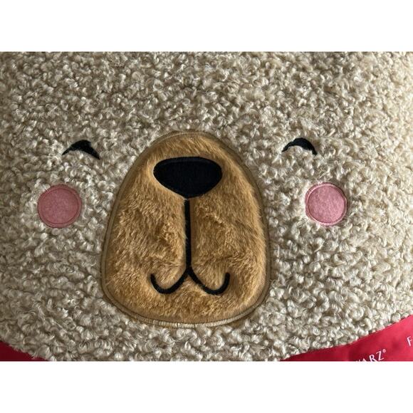 FAO SCHWARZ Brown Curly Hair Teddy Bear Face Pillow NEW‎ With Tags 20" x 20" - Picture 2 of 10